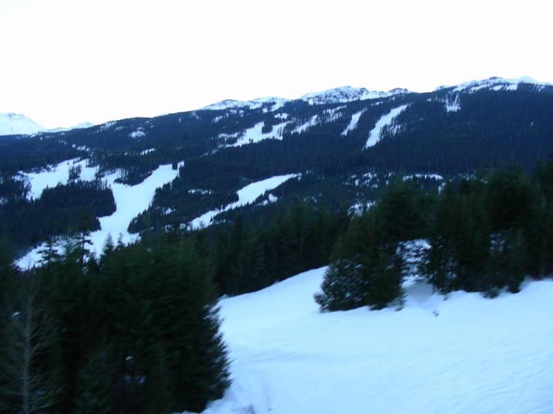DSCN0331.JPG