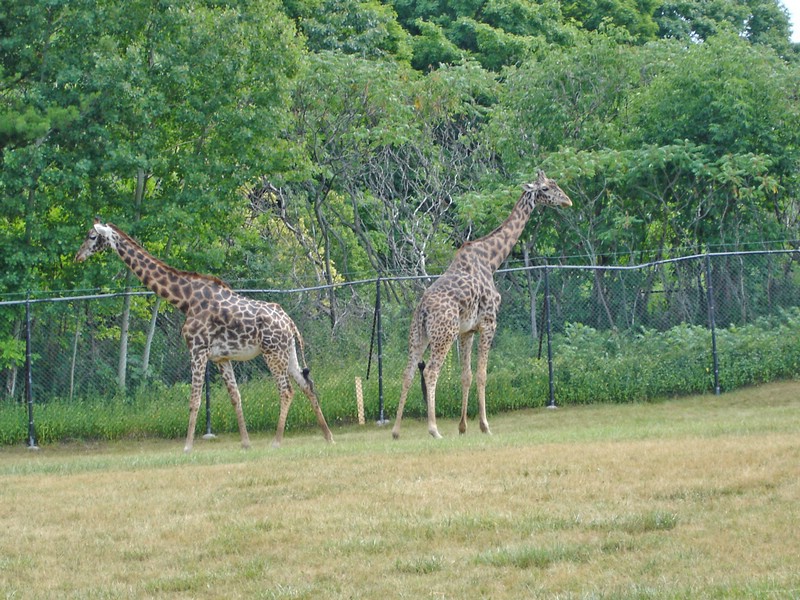 DSC01374.jpg