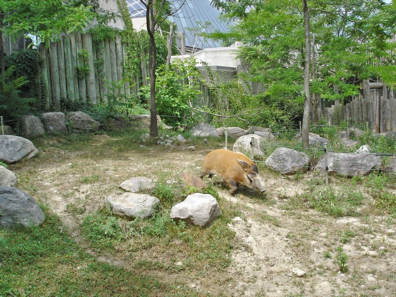 DSC01384.jpg