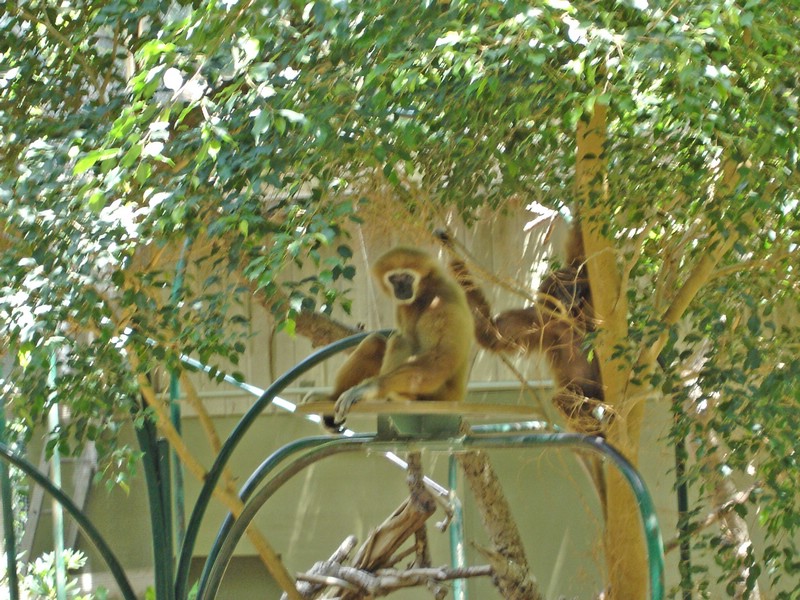 DSC01392.jpg