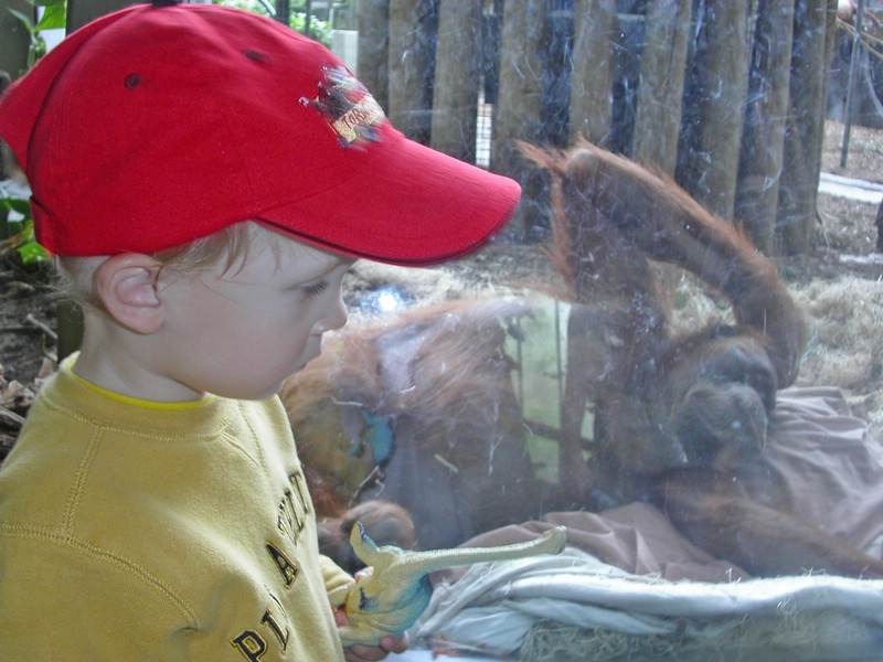 PICT0120.jpg