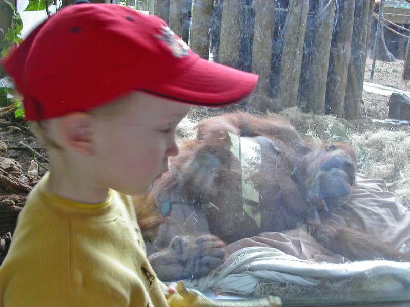 PICT0121.jpg