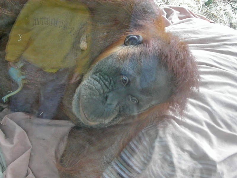 PICT0122.jpg