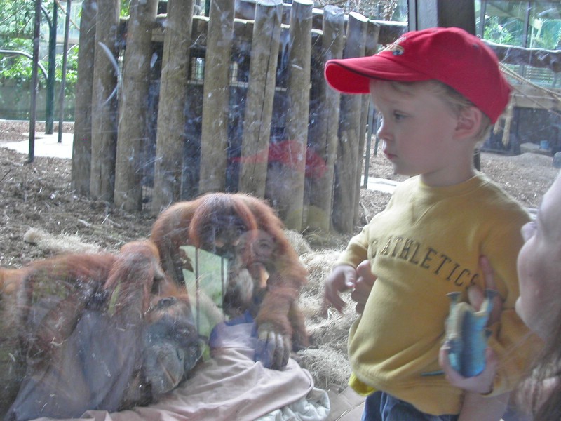 PICT0124.jpg
