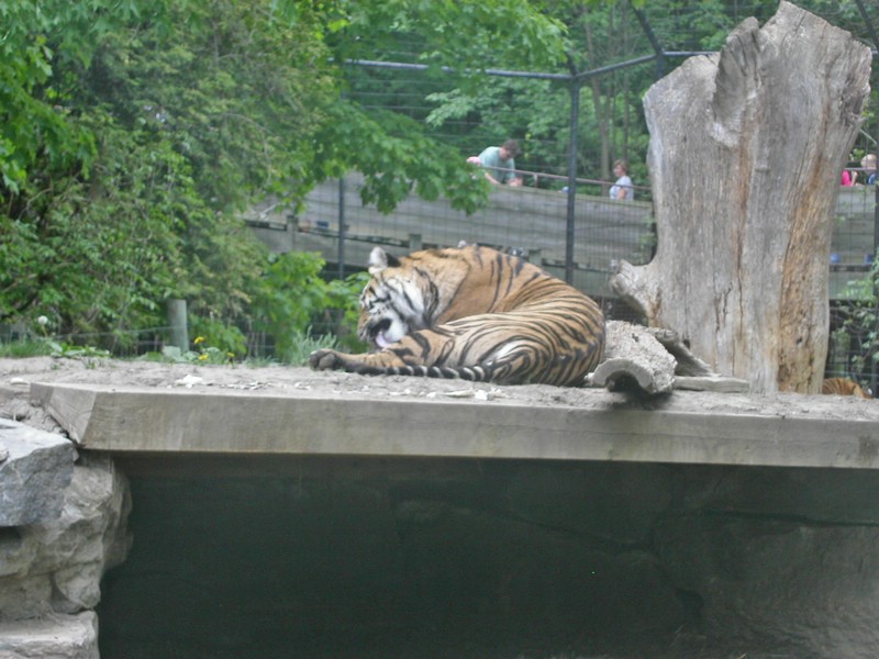 PICT0125.jpg