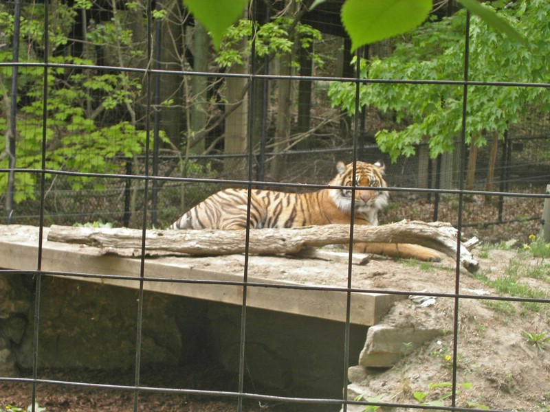 PICT0128.jpg