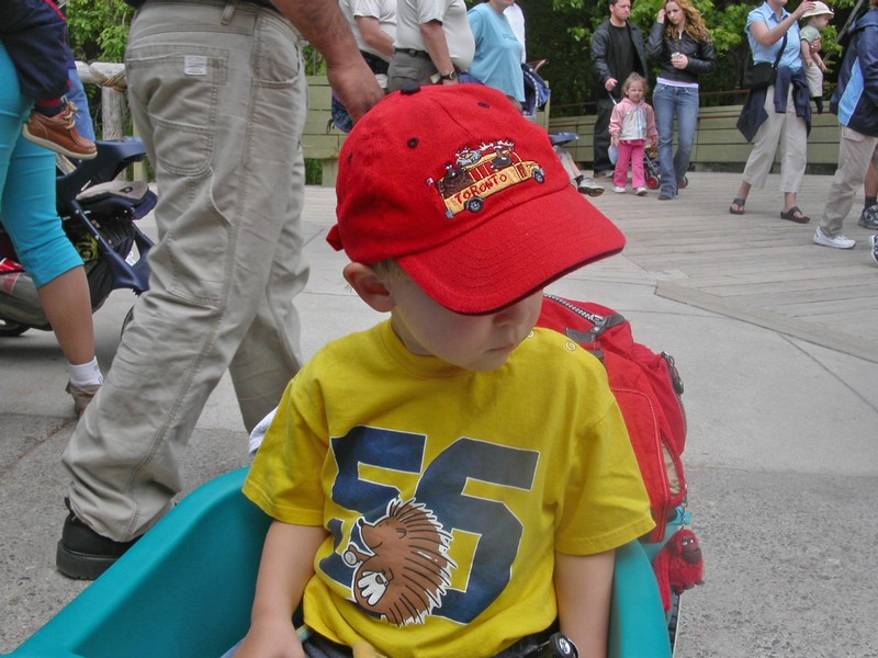 PICT0130.jpg