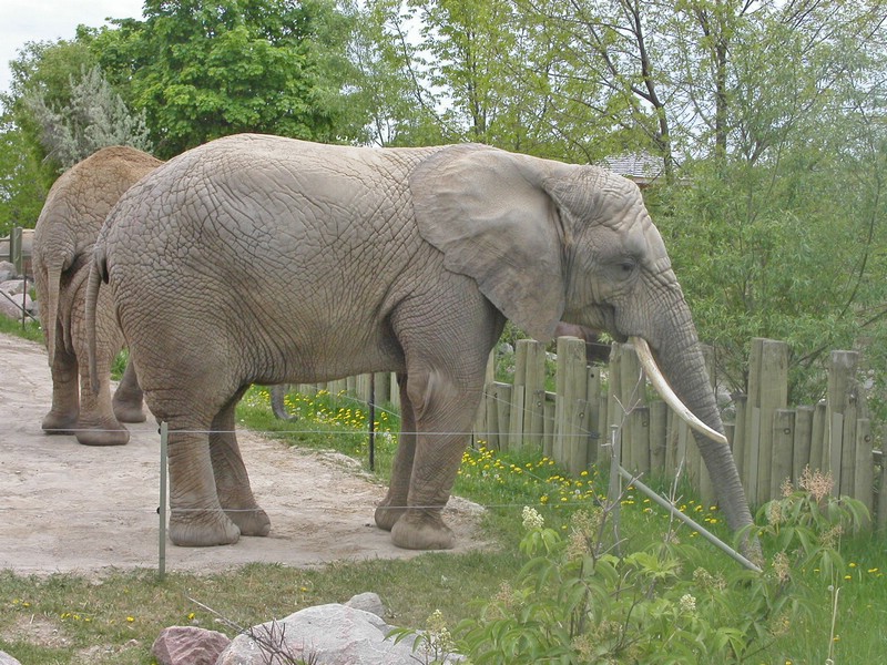 PICT0133.jpg