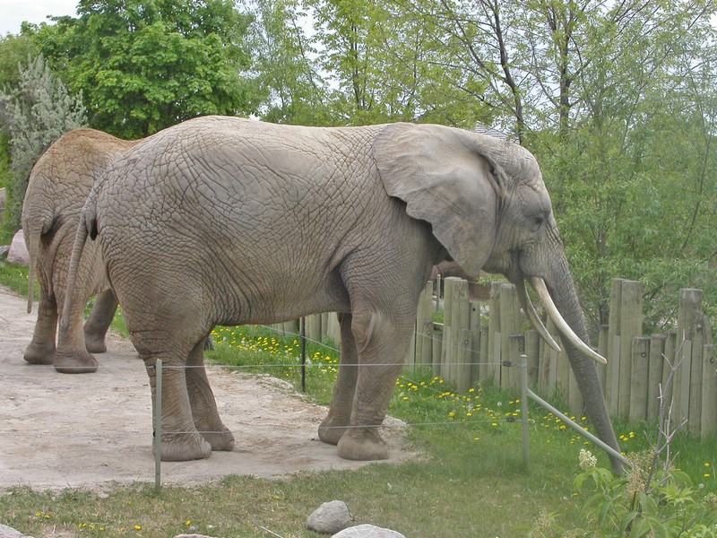 PICT0134.jpg