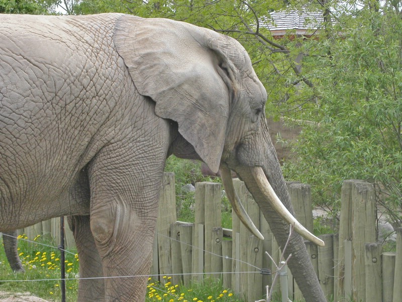 PICT0135.jpg