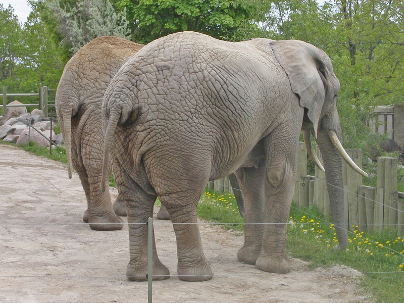 PICT0137.jpg