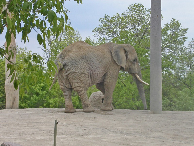 PICT0138.jpg