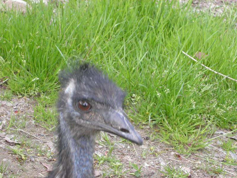 PICT0147.jpg