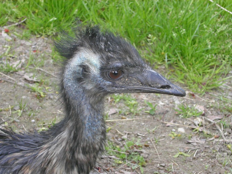 PICT0148.jpg