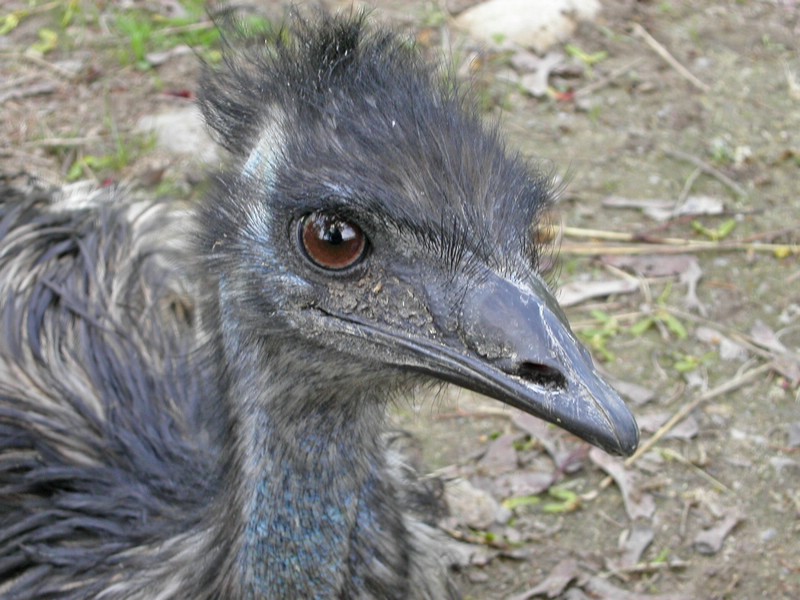 PICT0149.jpg