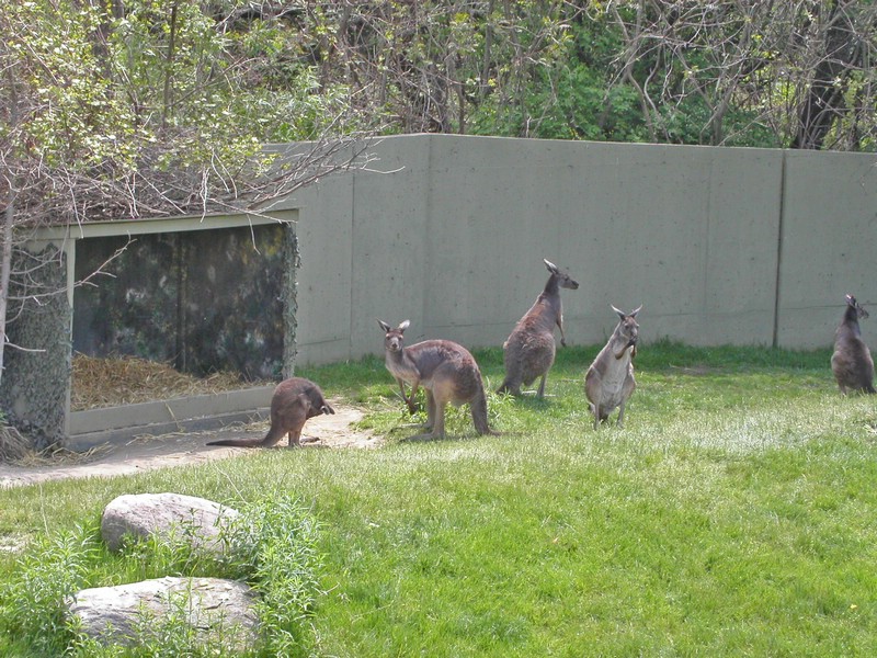 PICT0152.jpg