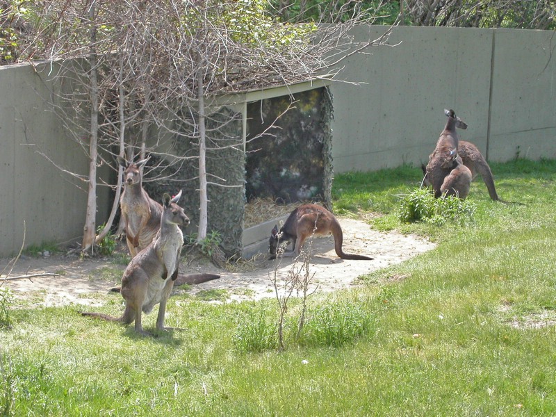 PICT0154.jpg