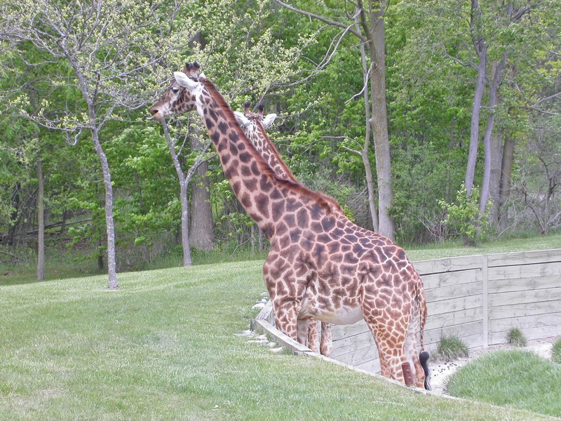 PICT0158.jpg