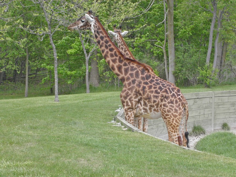 PICT0159.jpg