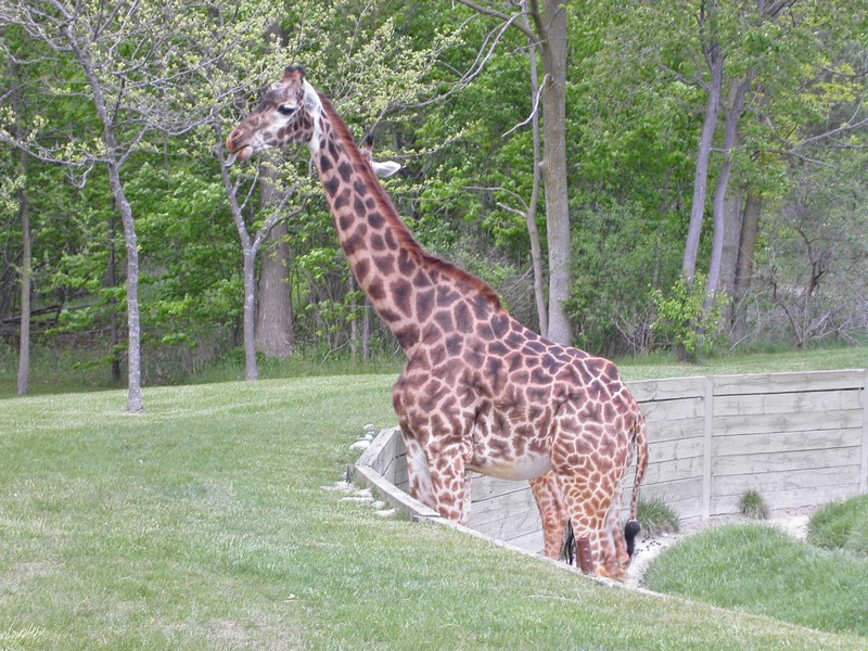 PICT0160.jpg