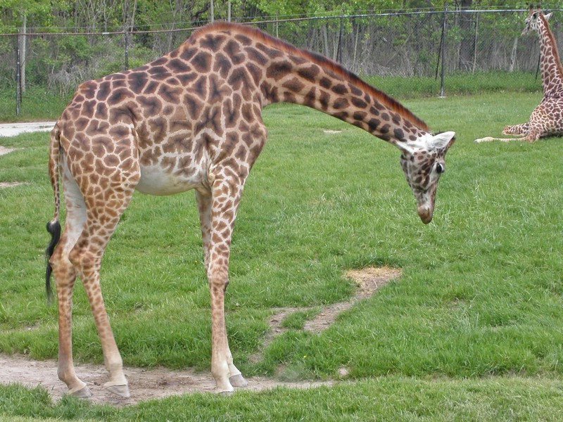 PICT0161.jpg