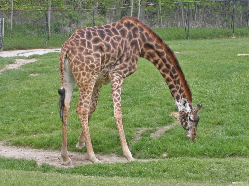 PICT0162.jpg