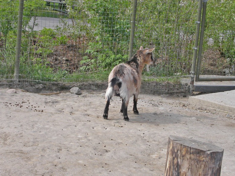 PICT0180.jpg