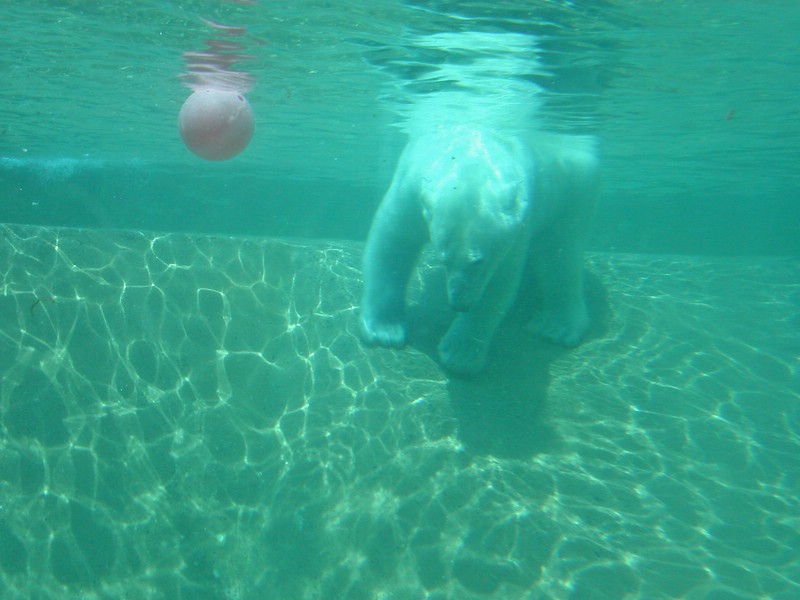 PICT0223.jpg