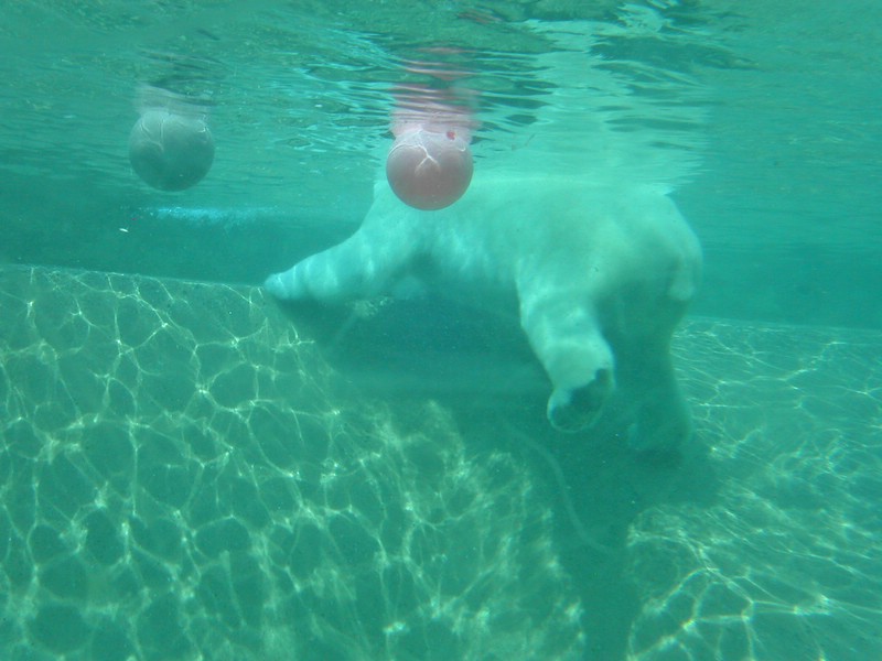 PICT0225.jpg