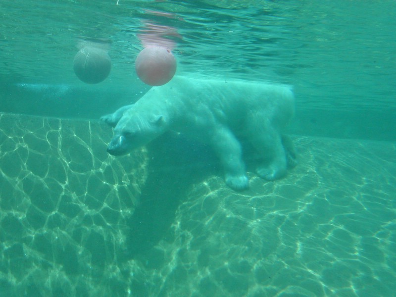 PICT0226.jpg