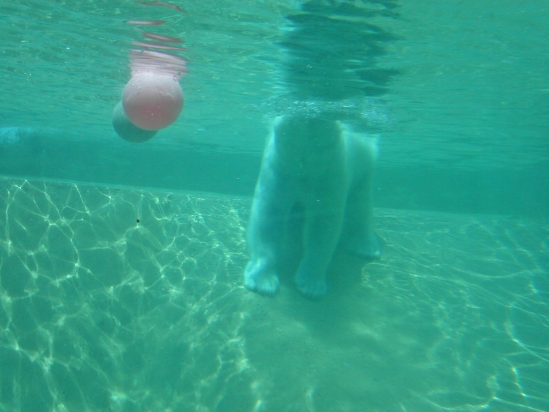 PICT0227.jpg