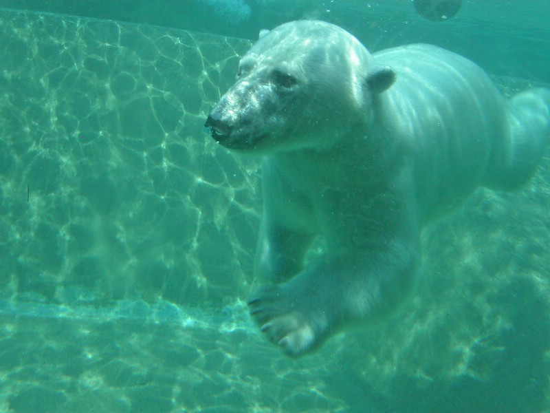 PICT0228.jpg