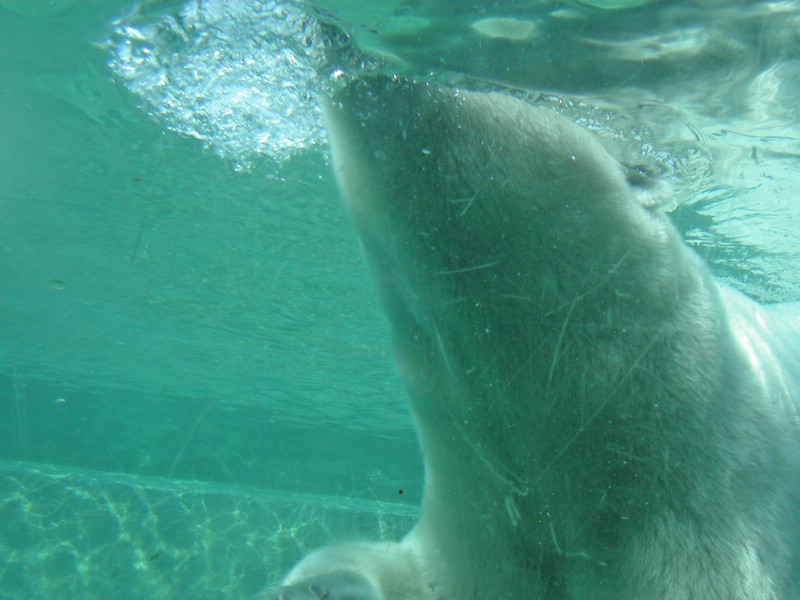 PICT0229.jpg
