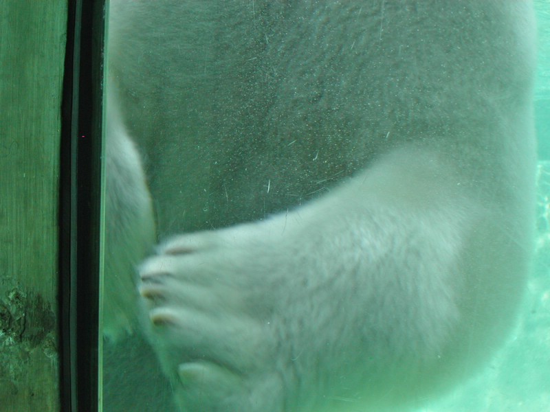 PICT0231.jpg