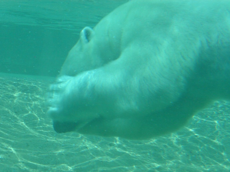PICT0236.jpg