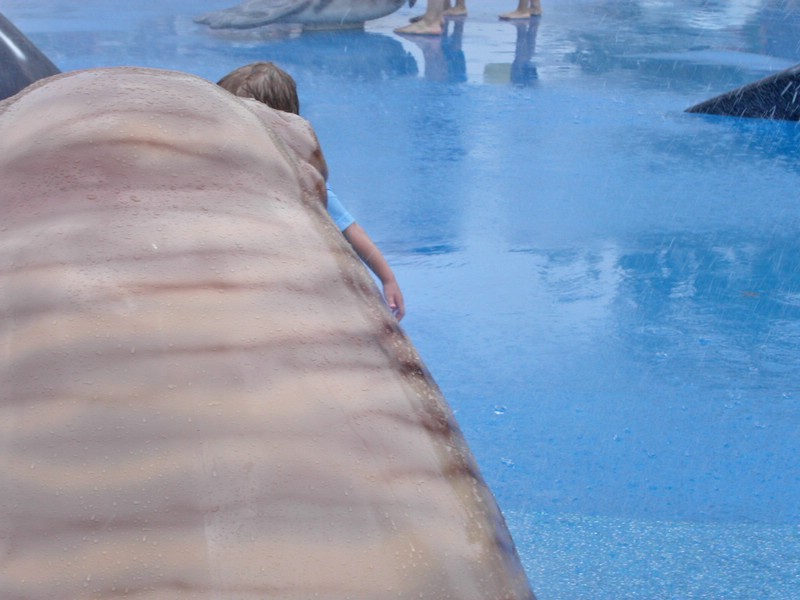 PICT0238.jpg