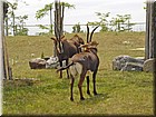 DSC01378.jpg