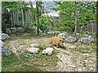 DSC01384.jpg