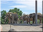 DSC01390.jpg