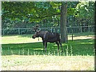 DSC01395.jpg