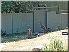 DSC01397.jpg