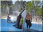 DSC01407.jpg