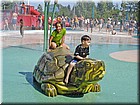 DSC01409.jpg