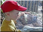 PICT0121.jpg