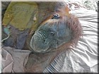 PICT0122.jpg