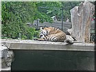 PICT0125.jpg