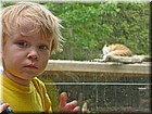 PICT0126.jpg