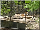 PICT0128.jpg