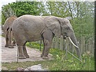 PICT0133.jpg