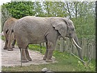 PICT0134.jpg